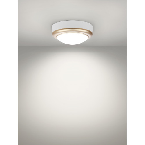Светильник накладной LED ДПО Светильник накладной LED ДПО