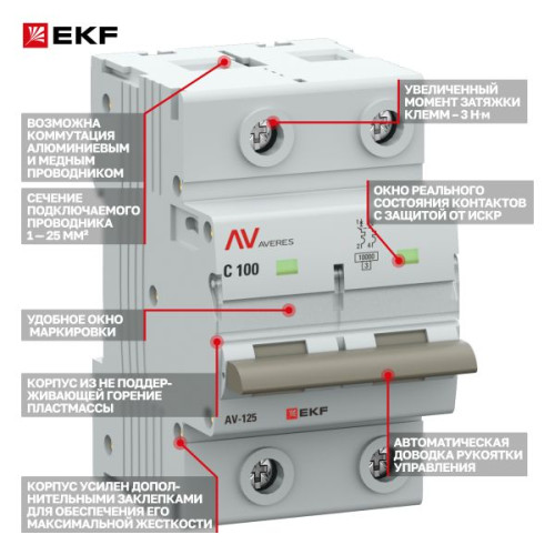 AV-125 2P 100A (C) 10kA EKF AVERES
