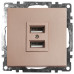 Розетка USB 2-местная (механизм), STEKKER GLS10-7115-02, 250B, 2,1A, серия Катрин, шампань Розетка USB 2-местная (механизм), STEKKER GLS10-7115-02, 250B, 2,1A, серия Катрин, шампань
