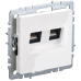 BRITE Розетка двойная RJ11+RJ45 кат.5E РК/Т12-БрБ белый IEK BRITE Розетка двойная RJ11+RJ45 кат.5E РК/Т12-БрБ белый IEK
