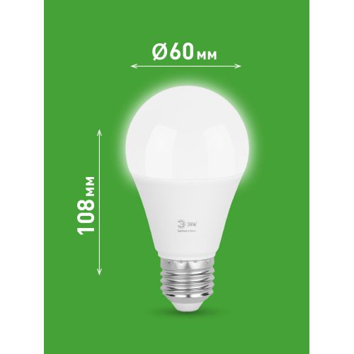 Лампа светодиодная GREEN LINE A60-20W-840-E27 GL 20Вт груша 4000К яркий свет бел. E27 Эра Б0067116 Лампа светодиодная GREEN LINE A60-20W-840-E27 GL 20Вт груша 4000К яркий свет бел. E27 Эра Б0067116