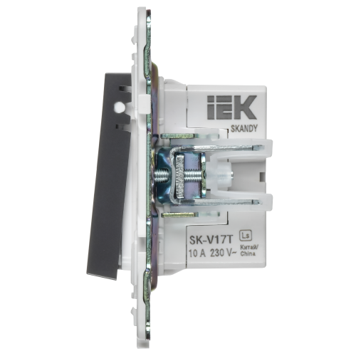 SKANDY Кнопка звонка с индикацией для отелей 10А SK-V17T титан IEK
