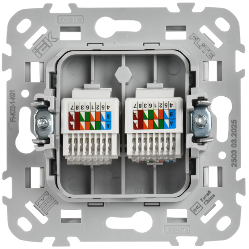 FLITE Розетка 2-местная компьютерная RJ45 категория 5Е UTP РК5е-2-0-ФлБ белый IEK