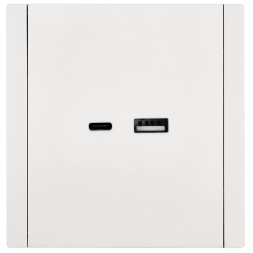 FORTE&PIANO Розетка USB A+C 3,1А FP250 белый IEK FORTE&PIANO Розетка USB A+C 3,1А FP250 белый IEK