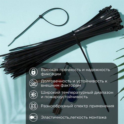 Хомут кабельный 3.6х250 нейл. черн. (уп.100шт) Rexant 07-0251 Хомут кабельный 3.6х250 нейл. черн. (уп.100шт) Rexant 07-0251