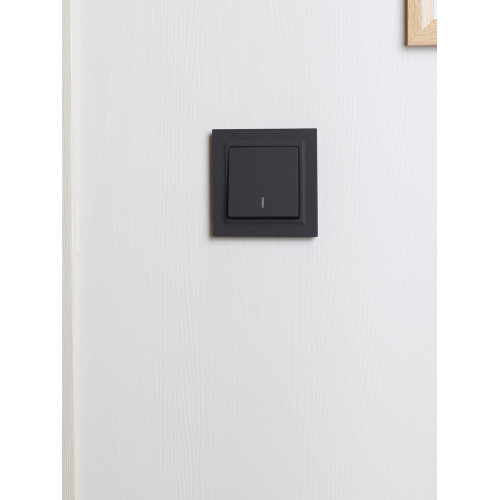 BRITE Рамка 1-местная IP44 РУ-1-БрГ-44 графит IEK