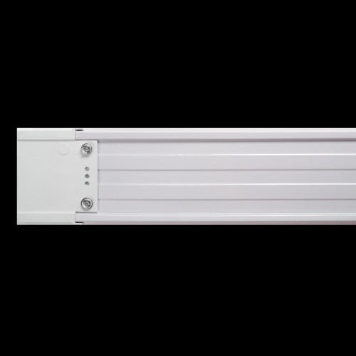 JazzWay 5017856