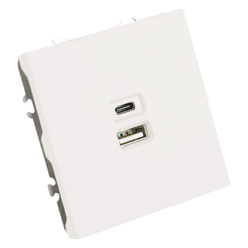 Розетка 2-местная USB + Type C (механизм), STEKKER, 250В, 20W, серия Эмили, RST10-5115-01, белый фарфор, soft touch