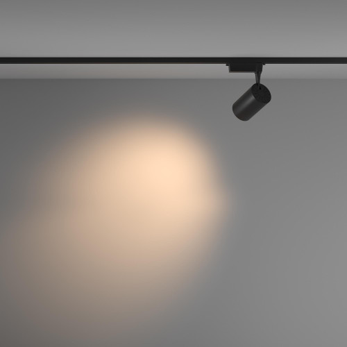 Maytoni TR003-1-26W3K-M-B