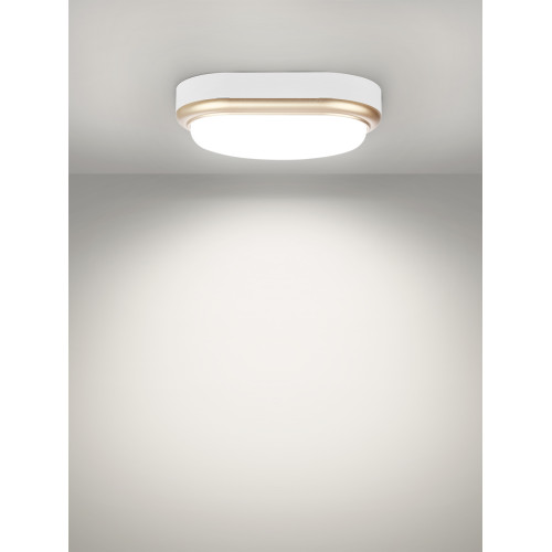 Светильник накладной LED ДПО Светильник накладной LED ДПО