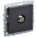 BRITE Розетка TV оконечная РТВ11-0-БрЧ черный IEK BRITE Розетка TV оконечная РТВ11-0-БрЧ черный IEK