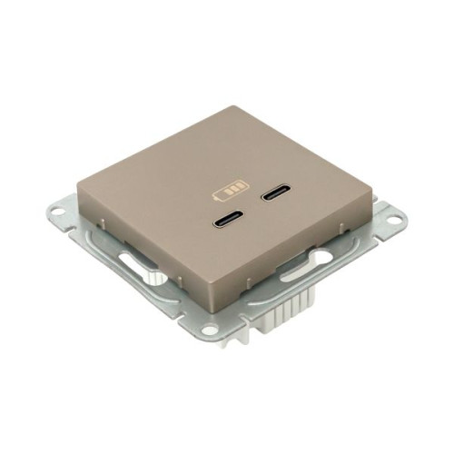 Механизм роз., USB-C - 2шт, шамп., Эпика EKF Механизм роз., USB-C - 2шт, шамп., Эпика EKF