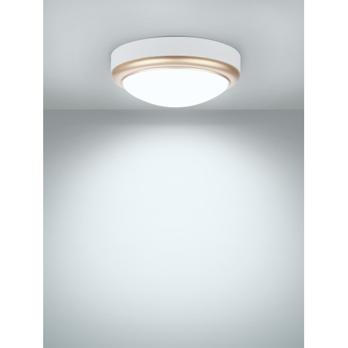Светильник накладной LED ДПО 