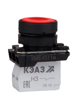 КЭАЗ 248248
