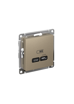 ATLASDESIGN USB РОЗЕТКА тип-С 65Вт высокоскор.заряд. QC, PD, механизм, ШАМПАНЬ