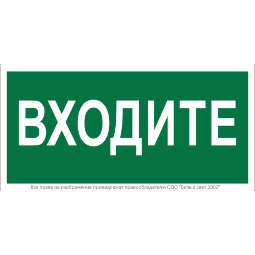 Знак безопасности NPU-2110.EC08 