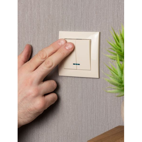 Валенсия выключатель 2-кл. 10А кремовый с индикатором EKF Валенсия выключатель 2-кл. 10А кремовый с индикатором EKF