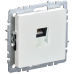 BRITE Розетка компьютерная RJ45 кат.6 РК11-БрЖ жемчуг IEK BRITE Розетка компьютерная RJ45 кат.6 РК11-БрЖ жемчуг IEK