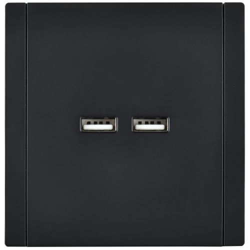 FORTE&PIANO Розетка USB A+A 3,1А FP149 черный IEK FORTE&PIANO Розетка USB A+A 3,1А FP149 черный IEK