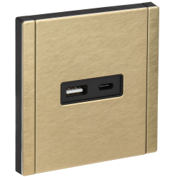 FORTE&PIANO Розетка USB A+C 18Вт FP651M металл шампань IEK