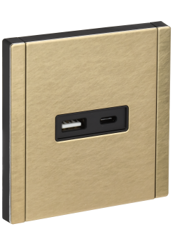FORTE&PIANO Розетка USB A+C 18Вт FP651M металл шампань IEK