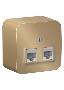 BLANCA О/У РОЗЕТКА двойная компьютерная RJ45, кат.5E, ИЗОЛ.ПЛ.,  ТИТАН