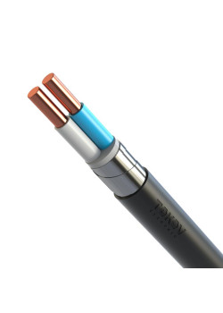 Кабель TOKOV ELECTRIC ВБШвнг(А)-LS 2х6 ОК (N) 0.66кВ (м) УТ000031973