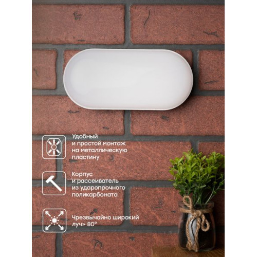 ДПО-2005-В 12Вт 4000К IP65 LUMA EKF