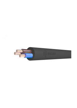 Провод ПВСнг(А)-LS 2х2,5 ч (100 м) ТРТС