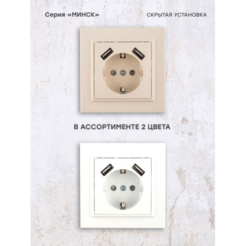Минск Розетка 1-мест. СП с/з 16А беж. с защ. штор. с 2 USB 2,1А EKF Минск Розетка 1-мест. СП с/з 16А беж. с защ. штор. с 2 USB 2,1А EKF