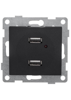 Розетка USB 2-м СП Bravo механизм графит GUSI С10USB2-010