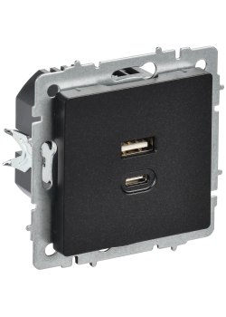 BRITE Розетка USB A+C 45Вт высокоскоростная зарядка РЮ11-2-БрЧ черный IEK