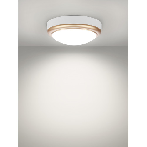 Светильник накладной LED ДПО Светильник накладной LED ДПО