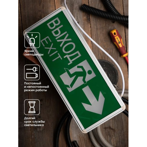 Светильник аварийного освещения EXIT-201 двухстор. LED EKF Basic