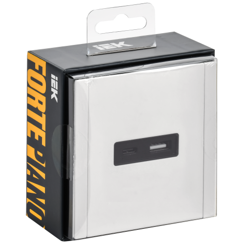 FORTE&PIANO Розетка USB A+C 3,1А FP250M металл белый IEK