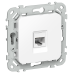 FLITE Розетка компьютерная RJ45 категория 5Е UTP РК5е-1-0-ФлБ белый IEK