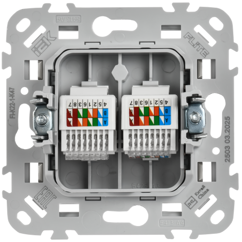 FLITE Розетка 2-местная компьютерная RJ45 категория 5Е UTP РК5е-2-0-ФлА алюминий IEK