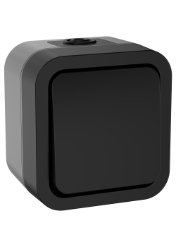 TORS Выключатель кнопочный 10А IP55 TS110 графит IEK