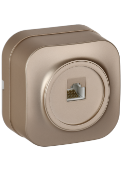 GLORY Розетка для открытой установки компьютерная RJ45 кат.5E РК10-ХШм шампань матовый IEK