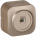 GLORY Розетка для открытой установки компьютерная RJ45 кат.5E РК10-ХШм шампань матовый IEK GLORY Розетка для открытой установки компьютерная RJ45 кат.5E РК10-ХШм шампань матовый IEK