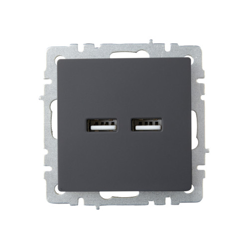 BRITE Розетка USB A+A 5В 3,1А РЮ10-1-БрГ графит IEK
