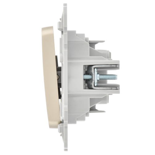 FLITE Выключатель 1-клавишный 10А ВС11-1-0-ФлШ шампань IEK FLITE Выключатель 1-клавишный 10А ВС11-1-0-ФлШ шампань IEK