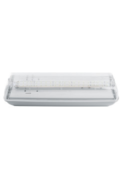 Светильник аварийный, 20 LED AC/DC, белый, EM101