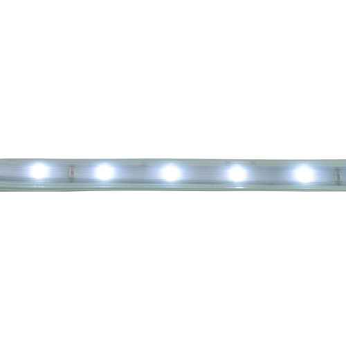 Лента светодиодная SST20 SAFFIT 60SMD(2835)/м 6Вт/м 220V 50м , 6500K, IP65