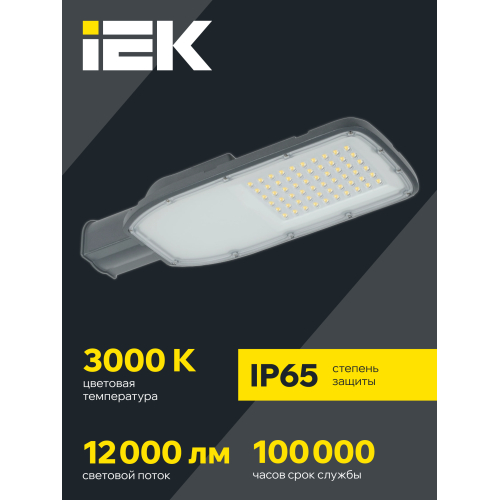 Светильник светодиодный консольный ДКУ 1004-100Ш 3000К IP65 серый IEK