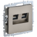 BRITE Розетка компьютерная двойная RJ45 кат.6 РК11-2-БрШ шампань IEK BRITE Розетка компьютерная двойная RJ45 кат.6 РК11-2-БрШ шампань IEK