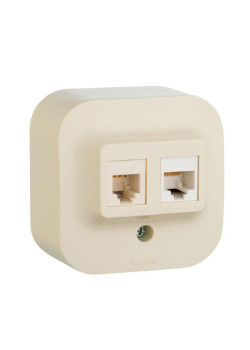 Розетка компьютерная + телефонная 2-м ОП 2мод. Quteo RJ45 + RJ11 кат.5E UTP IP20 сл. кость Leg 782251