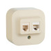 Розетка компьютерная + телефонная 2-м ОП 2мод. Quteo RJ45 + RJ11 кат.5E UTP IP20 сл. кость Leg 782251 Розетка компьютерная + телефонная 2-м ОП 2мод. Quteo RJ45 + RJ11 кат.5E UTP IP20 сл. кость Leg 782251