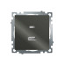 Розетка 2-местная USB + type C (механизм), 250В, 3А, max 20W, серия Катрин, графит, GLS10-7116-06 Розетка 2-местная USB + type C (механизм), 250В, 3А, max 20W, серия Катрин, графит, GLS10-7116-06