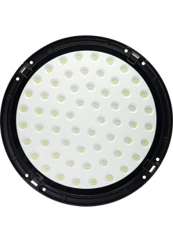 FERON 41331